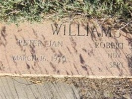 Peter Jan Williams
