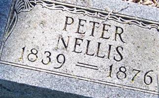 PETER JOHN NELLIS