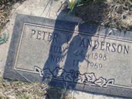 Peter L Anderson Peter L Anderson