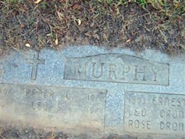 Peter L. Murphy Peter L. Murphy
