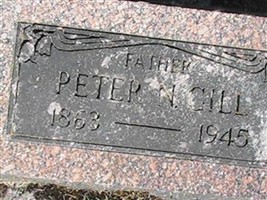 Peter N Gill Peter N Gill