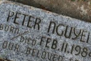Peter Nguyen Peter Nguyen