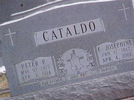 Peter P Cataldo