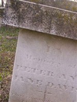 Peter P. Davis