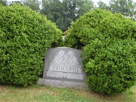 Peter P Procopio