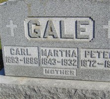 Peter S Gale