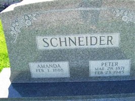 Peter Schneider