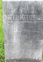 Peter Wetherbee
