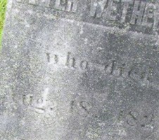Peter Wetherbee
