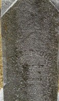 Peter Yoho
