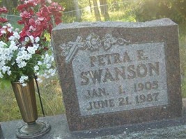 Petra E Swanson Petra E Swanson