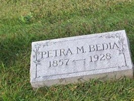 Petra M. Bedia Petra M. Bedia