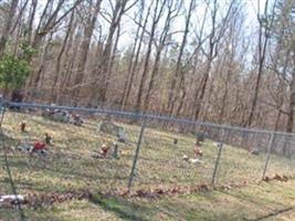 Pettigrew-Rice Family Cemetery