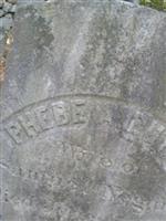 Phebe A. Butts Negus