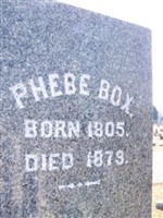 Phebe Box