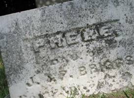Phebe Briggs