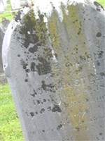 Phebe Harris Steen