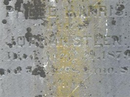 Phebe Harris Steen