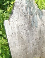 Phebe Lathrop