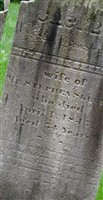 Phebe Simonds Skelton