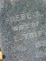 Phebe Tripp