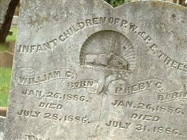 Pheby C. Trees