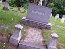 Phidelia Perkins Williams Phidelia Perkins Williams