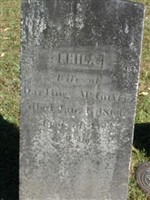 Phila McIntire