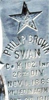 Philip Brown Swan