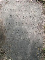Philip H Tipple