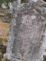 Philip Henry Voldemar (2383703.jpg)