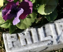 Philip L Ballard Philip L Ballard