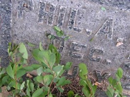 Phillip Arthur Weisgerber Phillip Arthur Weisgerber