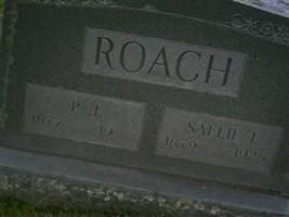 Phillip Joshua Roach Phillip Joshua Roach