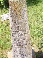 Phoebe A. Bridgewater Phoebe A. Bridgewater
