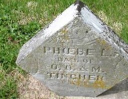 Phoebe L Tincher