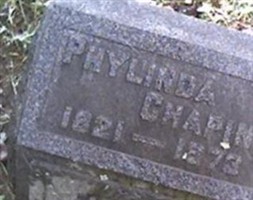 Phylinda Chapin Phylinda Chapin