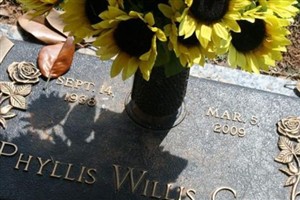 Phyllis Willis Cook (2226159.jpg) Phyllis Willis Cook (2226159.jpg)