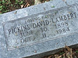 Pickins David Lambert