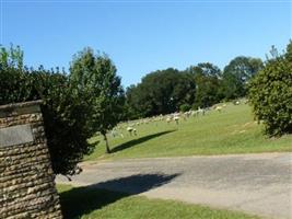 Pine View Cemetery