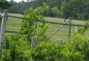 Piner Family Cemetery