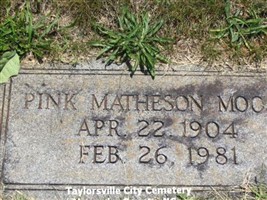 Pink Matheson Moose