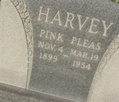 Pink Pleas Harvey