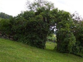 Pioneer Cemetery