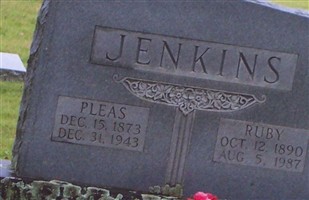 Pleas Jenkins
