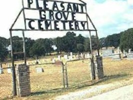 Pleasant Grove Cemetery #3