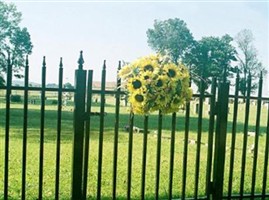 Pleasant Grove Cemetery