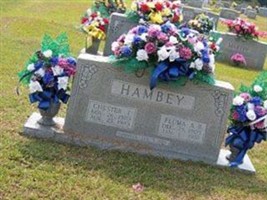 Pluma A Hambey