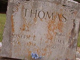 Pluma E Thomas