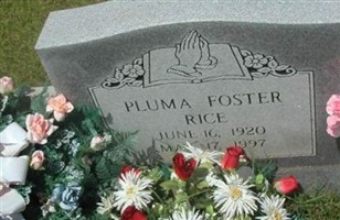 Pluma Foster Rice